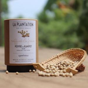 Poivre de kampot blanc 50g tube 1